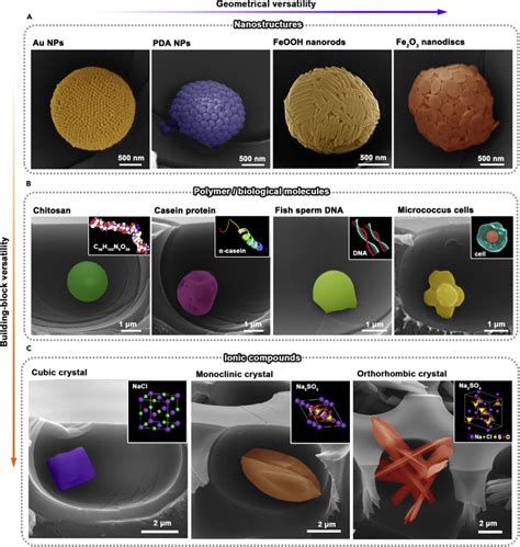 Self Assembly Of Superstructures At All Scales Matter