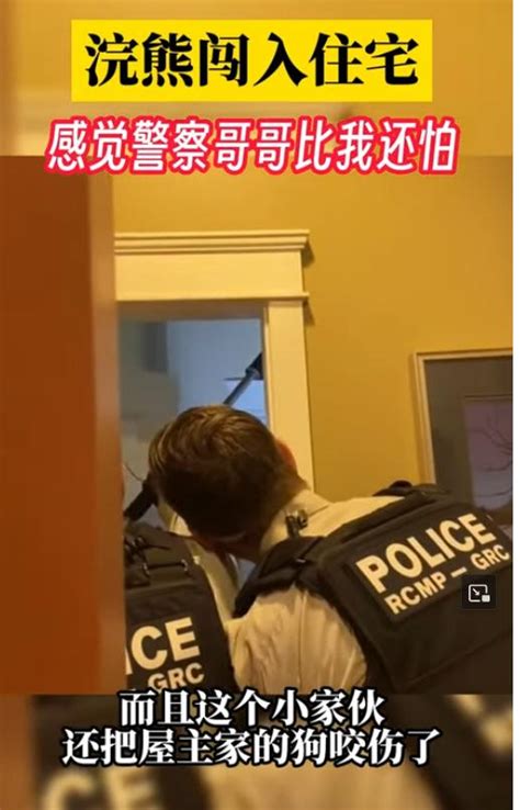 浣熊闯进加拿大民居 警察的手边抓边抖 ＊ 阿波罗新闻网