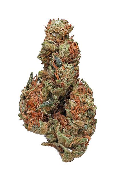 Panama Red Strain - Sativa Cannabis Review, THC : Hytiva