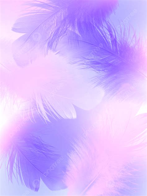 Abstract Light Pink Purple Soft Fog Feather Background Wallpaper Image