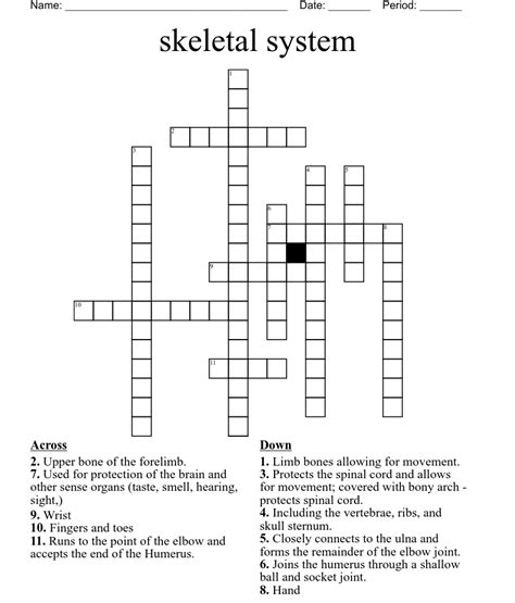 Skeletal System Crossword Wordmint