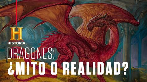 Dragones Leyenda O Realidad Criaturas Legendarias Canal Historia