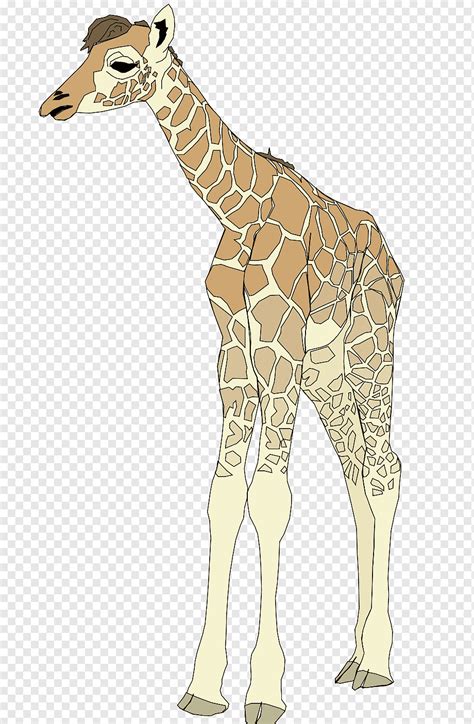 Computer Icons Watercolor Giraffe Mammal Giraffe Fauna Png PNGWing