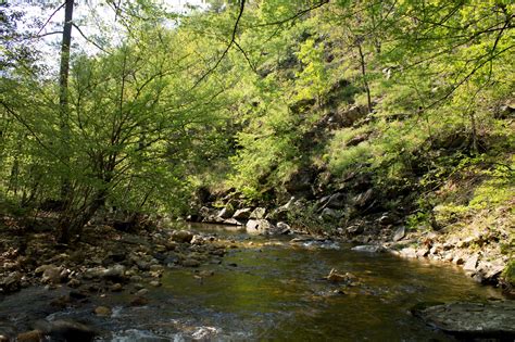 Caney Creek Trail West Ouachita Forest 11 Mi Oandb Arklahoma Hiker