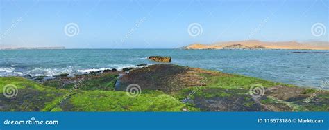 The Paracas National Reserve Ica Peru Stock Photo Image Of