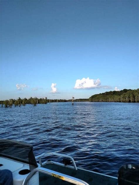 Lake Bistineau Fishing Charters & Guides | FishAnywhere