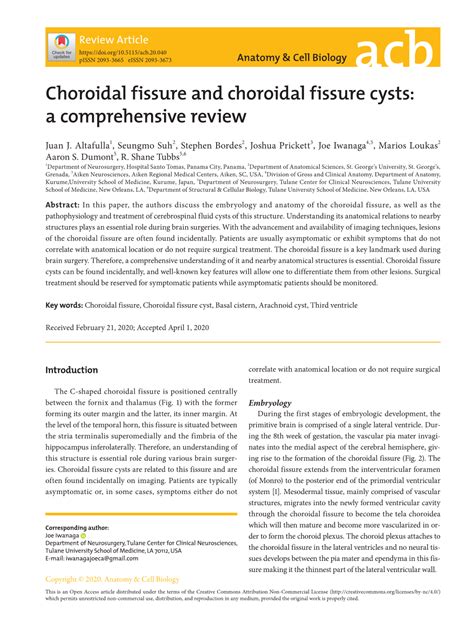 Choroidal Fissure and Choroidal Fissure Cysts: a Comprehensive Review ...