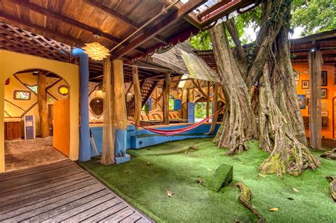 Costa Rica Tree House Lodge Book Direct For Best Rates Extras