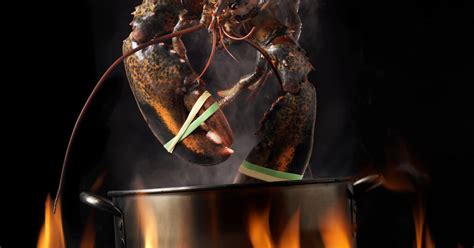 The Perfect Lobster Boil: 3-6 Minutes Per Pound