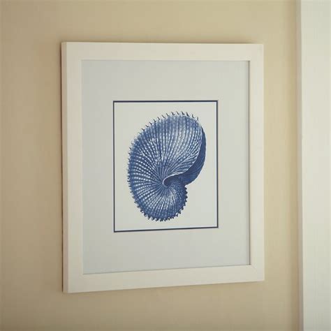 Sea Life Framed Print II Reviews Birch Lane