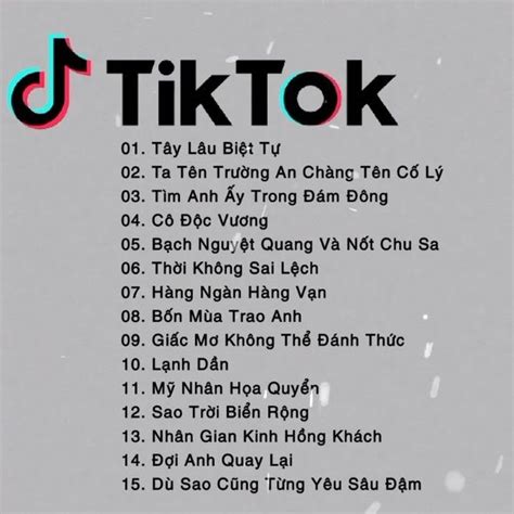 Nh C Tik Tok Trung Qu C Remix Hay Nh T Hi N Nay Top B N Nh C