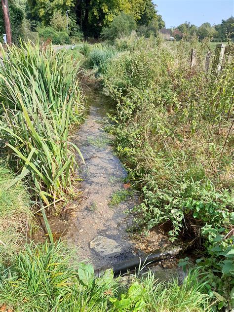 Chalk Stream Mapping Lincolnshire Chalk Streams Project