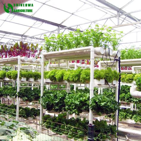 Commercial Hydroponics Greenhouse With Vertical Nft Pvc Pipe - Buy ...