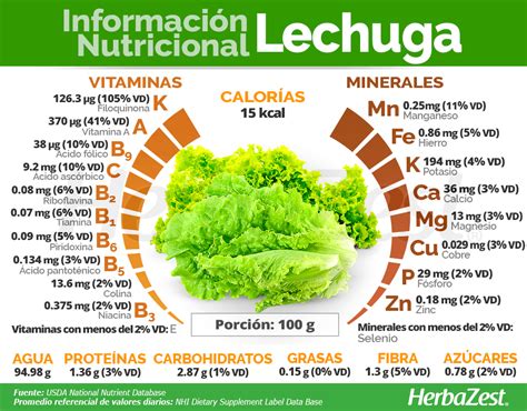 Informaci N Nutricional De La Lechuga Planes De Alimentaci N