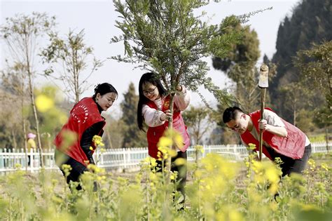 官方发布义务植树倡议书强调广大党员干部要带头履植尽责 新闻频道 和讯网