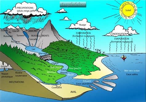 le cycle de l eau schéma Recherche Google Cycle de l eau Eau Aide