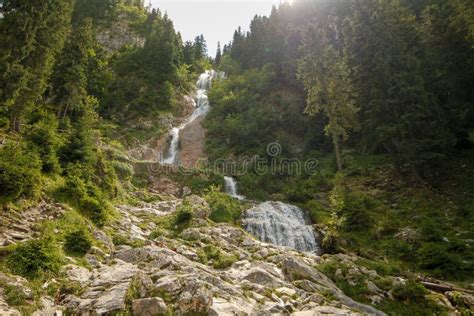 Romania Cascada Izvoare Springs Waterfall Stock Image Image Of