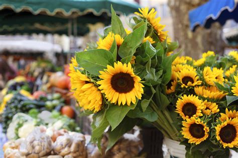 Deutsch Französischer Bauernmarkt 2025