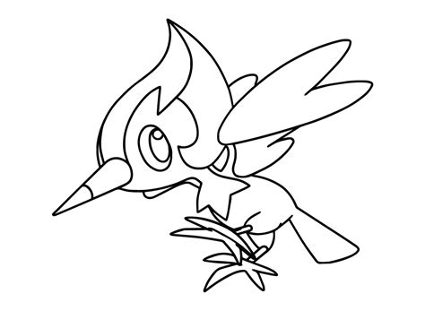 Coloriage Pok Mon Pikipek Evolution Coloriages Gratuits Imprimer