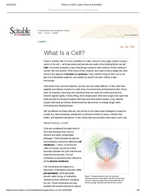 What Is A Cell Learn Science At Scitable Pdf Prokaryote Cell