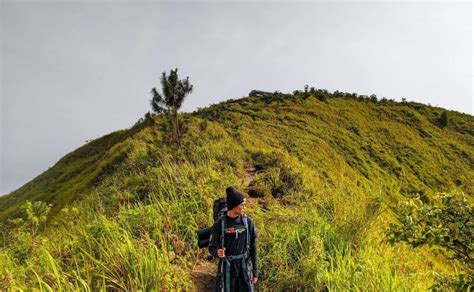 12 Rekomendasi Gunung Untuk Pendaki Pemula