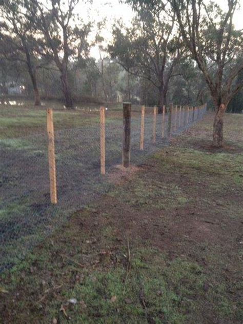 Timber Posts And Strand Wire Fencing For Rural Property Northern