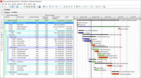 Primavera P6 Reporting Using Primavera P6 Tabular Report Capabilities