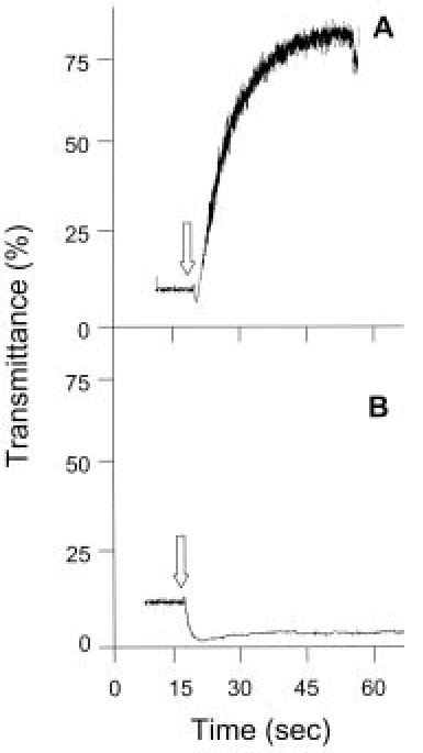 Reverse Phase High Performance Liquid Chromatography Rp Hplc Of