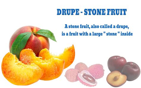 Top Delicious And Healthy Stone Fruits And Their Benefits