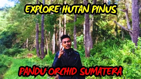 EXPLORE HUTAN PINUS BERSAMA PANDU ORCHID SUMATERA YouTube