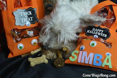 DIY Halloween Dog Treats - Come Wag Along