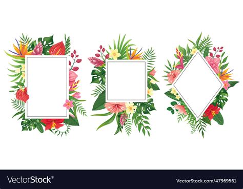 Tropical Flower Frames Botanical Tropics Borders Vector Image