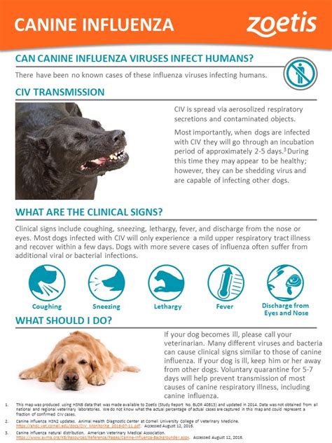 Canine Influenza Virus — Washtenaw Veterinary Hospital