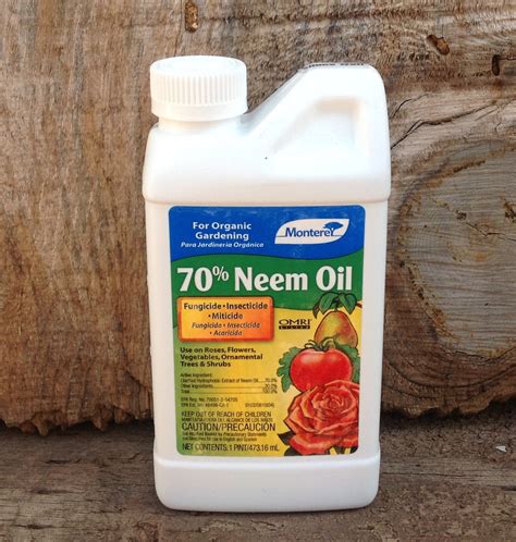 70 Neem Garden Spray Concentrate Omri Listed Fungicide Insecticide