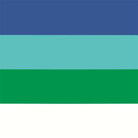 Male Meowstic Flags For Anon Gay Bi Lesbian NB Requests Closed