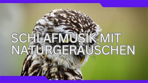 Wunderschöne beruhigende Klavier Piano Musik mit Naturgeräuschen zum