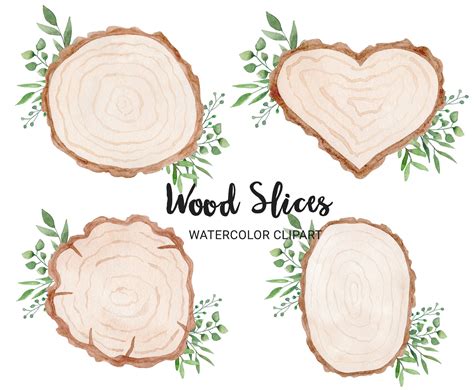 Wood Slices Watercolor Clipart Rustic Wood Slice Clipart Etsy