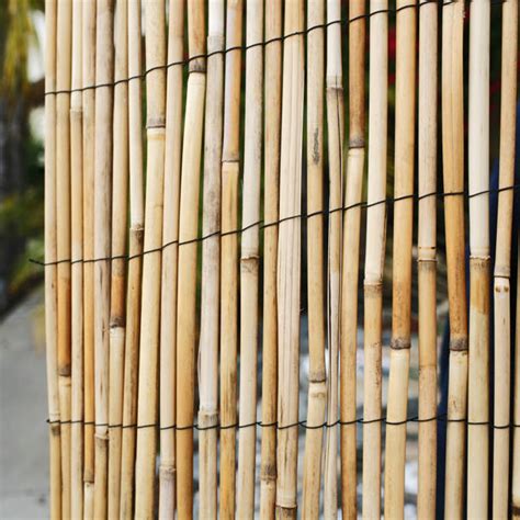 MGP Tan Bamboo Reed Fencing Reviews Wayfair