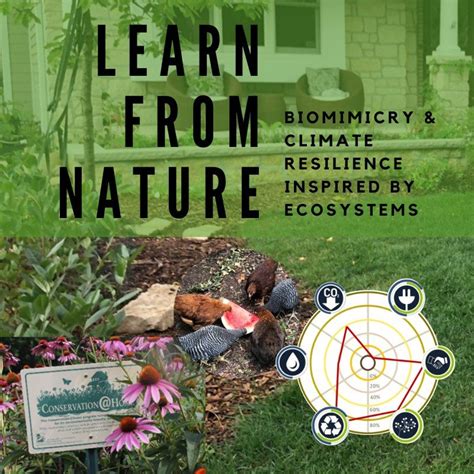 Naperville Community Gardeners Biomimicry And Climate Resilience Inspired