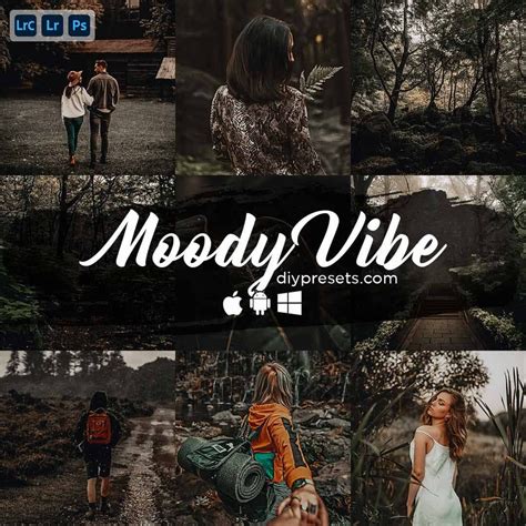 Moody Vibe Preset Desktop Mobile Lightroom DIY Presets Presets