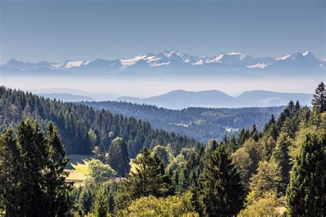 Dorfurlaub Schwarzwald Tourismus Gmbh