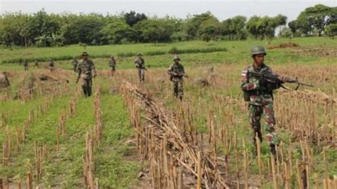 Foto Aksi Gila 7 Orang Anggota Pasukan Langit Kostrad Hadapi Ratusan KKB