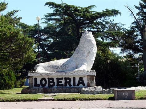 Lobería Escultura de lobo marino plaza principal Escultura Otoño