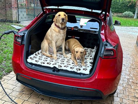 Boot Liner For Tesla Model Y 2022 To Present Date