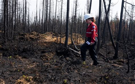 Wildfires across Canada to pose danger for rest of summer, government ...