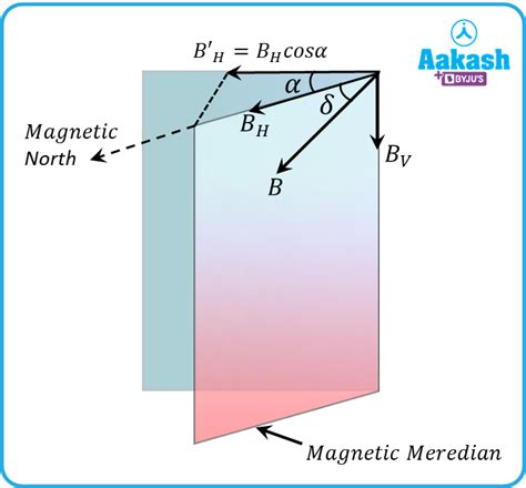 In Definition Types And Importance Aesl