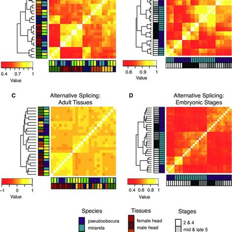 Correlations Of Gene Expression Versus Alternative Splicing Spearman