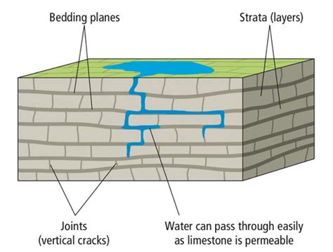 AS Geography Weathering Set 3 2 Flashcards Quizlet