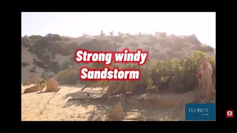 Windy Sandstorm Dessert YouTube