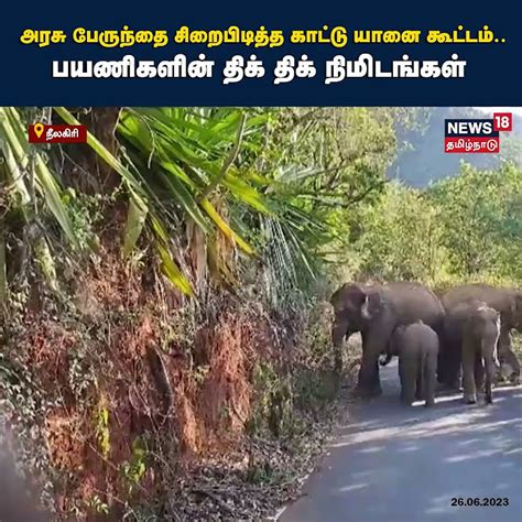 அரசு பேருந்தை சிறைபிடித்த காட்டு யானை கூட்டம் பயணிகளின் திக் திக்